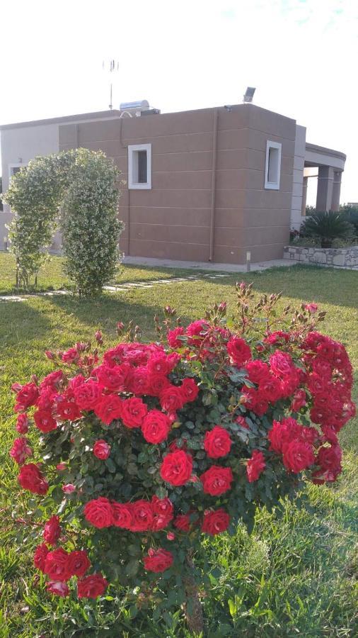 Kos Villa - Family Comfort With Large Garden, Jacuzzi Buitenkant foto